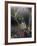 Morning Light-Michelle Wermuth-Framed Giclee Print