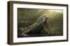 Morning Light-Fahmi Bhs-Framed Giclee Print