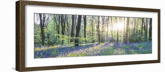 Morning Light-John Harper-Framed Giclee Print