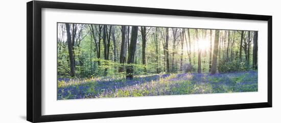 Morning Light-John Harper-Framed Giclee Print