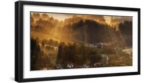 Morning Light-Piotr Krol (Bax)-Framed Photographic Print