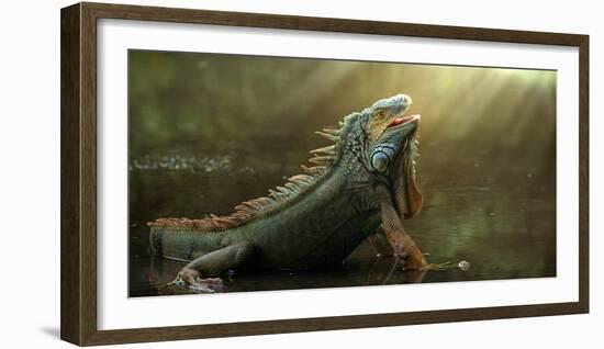 Morning Light-Fahmi Bhs-Framed Photographic Print