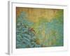 Morning Light-Herb Dickinson-Framed Photographic Print