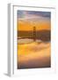 Morning Love, Golden Gate, Fog, Sunrise San Francisco-Vincent James-Framed Photographic Print