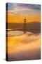 Morning Love, Golden Gate, Fog, Sunrise San Francisco-Vincent James-Stretched Canvas