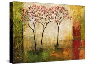 Morning Luster II-Mike Klung-Stretched Canvas
