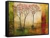 Morning Luster II-Mike Klung-Framed Stretched Canvas