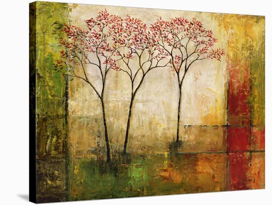 Morning Luster II-Mike Klung-Stretched Canvas