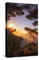 Morning Magic Big Sur Hills, Califnroa Central Coast-Vincent James-Stretched Canvas