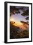 Morning Magic Big Sur Hills, Califnroa Central Coast-Vincent James-Framed Photographic Print