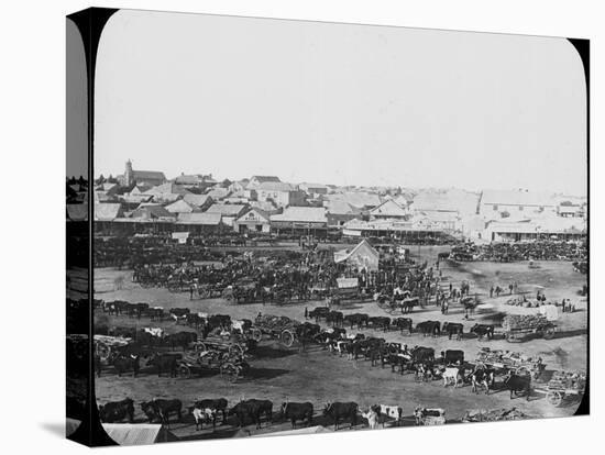 Morning Market, Kimberley, South Africa, C1890-null-Stretched Canvas