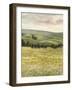 Morning Meadow I-Victoria Borges-Framed Art Print