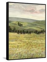 Morning Meadow I-Victoria Borges-Framed Stretched Canvas