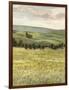 Morning Meadow I-Victoria Borges-Framed Art Print