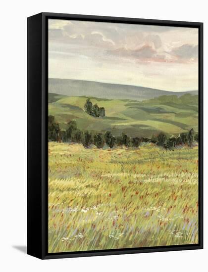 Morning Meadow I-Victoria Borges-Framed Stretched Canvas