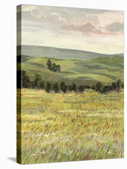 Morning Meadow I-Victoria Borges-Stretched Canvas