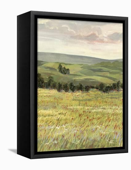 Morning Meadow I-Victoria Borges-Framed Stretched Canvas