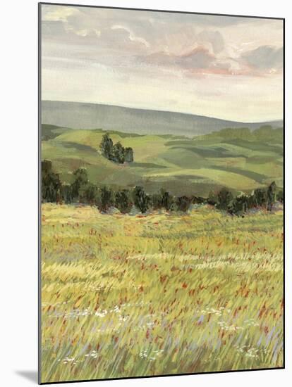 Morning Meadow I-Victoria Borges-Mounted Art Print