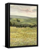 Morning Meadow I-Victoria Borges-Framed Stretched Canvas