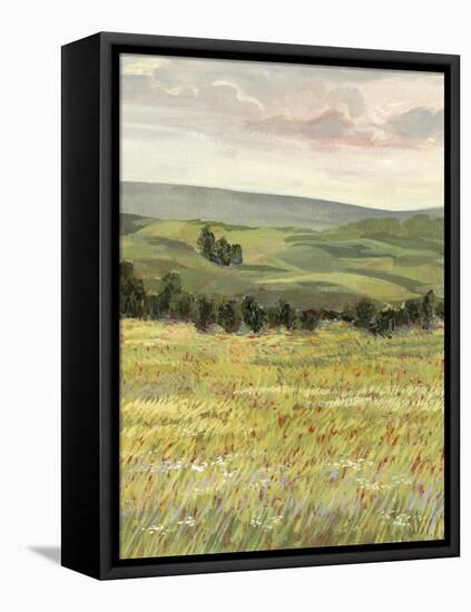 Morning Meadow I-Victoria Borges-Framed Stretched Canvas