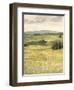 Morning Meadow II-Victoria Borges-Framed Art Print