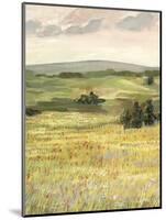 Morning Meadow II-Victoria Borges-Mounted Art Print