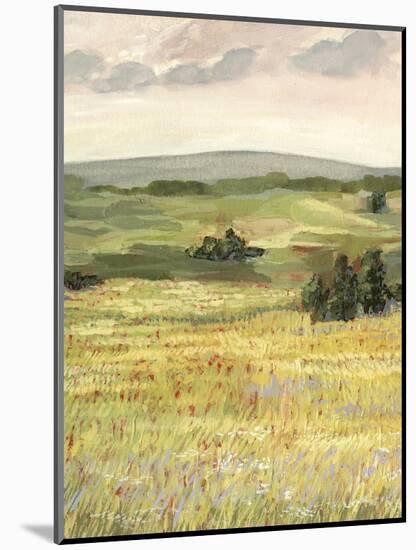 Morning Meadow II-Victoria Borges-Mounted Art Print