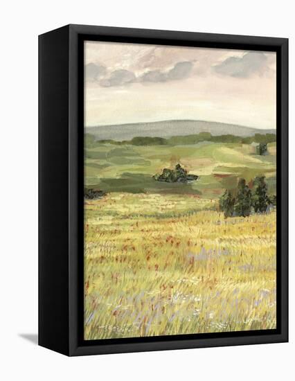 Morning Meadow II-Victoria Borges-Framed Stretched Canvas