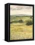 Morning Meadow II-Victoria Borges-Framed Stretched Canvas