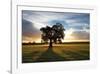 Morning Meadow-Joseph Eta-Framed Giclee Print