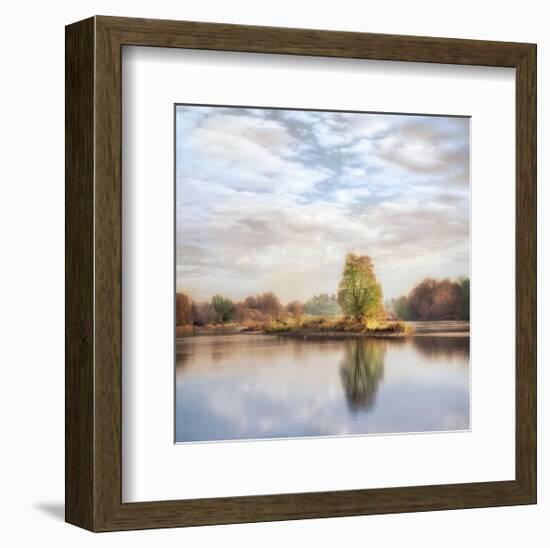 Morning Mirror 1-Diane Poinski-Framed Giclee Print