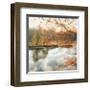 Morning Mirror 2-Diane Poinski-Framed Giclee Print