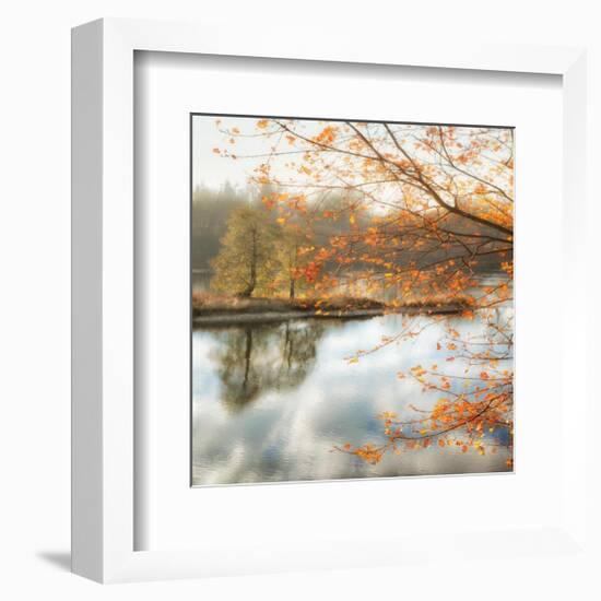 Morning Mirror 2-Diane Poinski-Framed Giclee Print