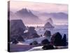 Morning Mist along Oregon Coast near Nesika, Oregon, USA-Adam Jones-Stretched Canvas