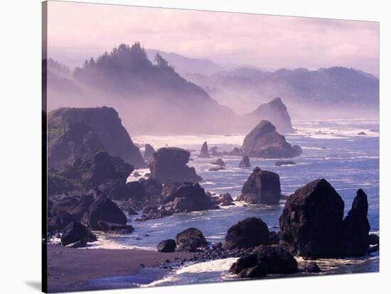 Morning Mist along Oregon Coast near Nesika, Oregon, USA-Adam Jones-Stretched Canvas