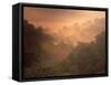 Morning Mist Amid Trees, Missouri, USA-Gayle Harper-Framed Stretched Canvas