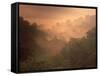 Morning Mist Amid Trees, Missouri, USA-Gayle Harper-Framed Stretched Canvas