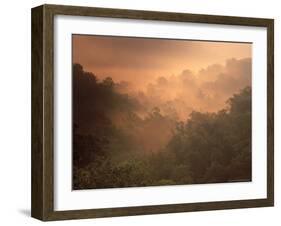 Morning Mist Amid Trees, Missouri, USA-Gayle Harper-Framed Photographic Print