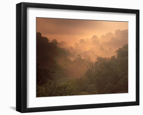 Morning Mist Amid Trees, Missouri, USA-Gayle Harper-Framed Photographic Print