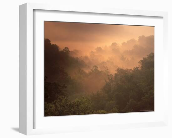 Morning Mist Amid Trees, Missouri, USA-Gayle Harper-Framed Photographic Print