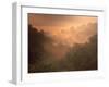 Morning Mist Amid Trees, Missouri, USA-Gayle Harper-Framed Photographic Print