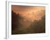 Morning Mist Amid Trees, Missouri, USA-Gayle Harper-Framed Photographic Print