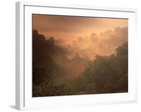 Morning Mist Amid Trees, Missouri, USA-Gayle Harper-Framed Photographic Print