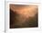 Morning Mist Amid Trees, Missouri, USA-Gayle Harper-Framed Photographic Print