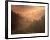 Morning Mist Amid Trees, Missouri, USA-Gayle Harper-Framed Photographic Print