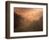 Morning Mist Amid Trees, Missouri, USA-Gayle Harper-Framed Photographic Print