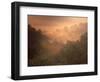 Morning Mist Amid Trees, Missouri, USA-Gayle Harper-Framed Photographic Print