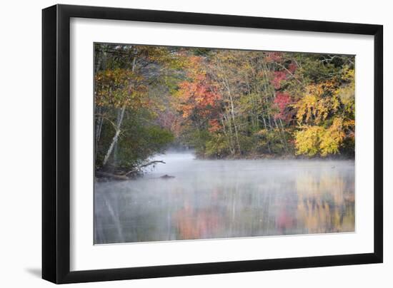 Morning mist and fall colours, River Pemigewasset, New Hampshire, New England, USA, North America-Jean Brooks-Framed Photographic Print