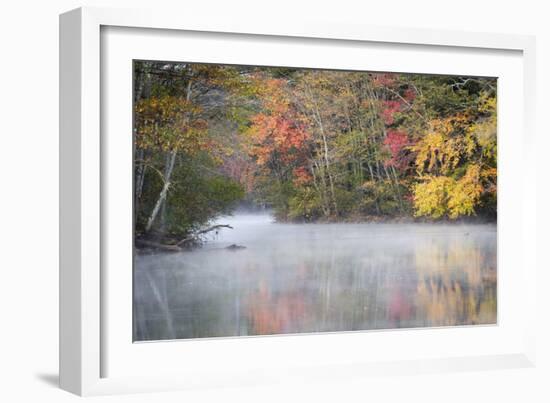 Morning mist and fall colours, River Pemigewasset, New Hampshire, New England, USA, North America-Jean Brooks-Framed Photographic Print