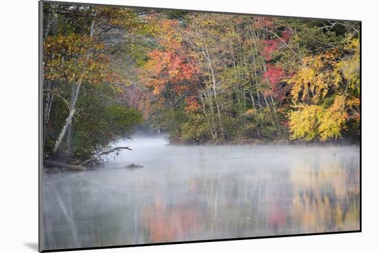 Morning mist and fall colours, River Pemigewasset, New Hampshire, New England, USA, North America-Jean Brooks-Mounted Photographic Print